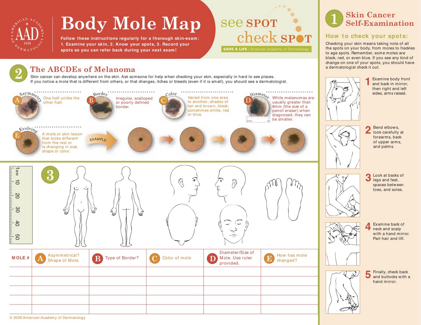 aad-body-mole-map-2